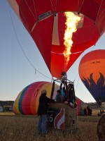 Subhash: „Hot-air ballon championship #8464”