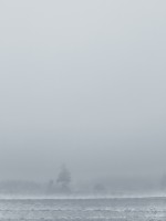 Subhash: «La niebla #1364»