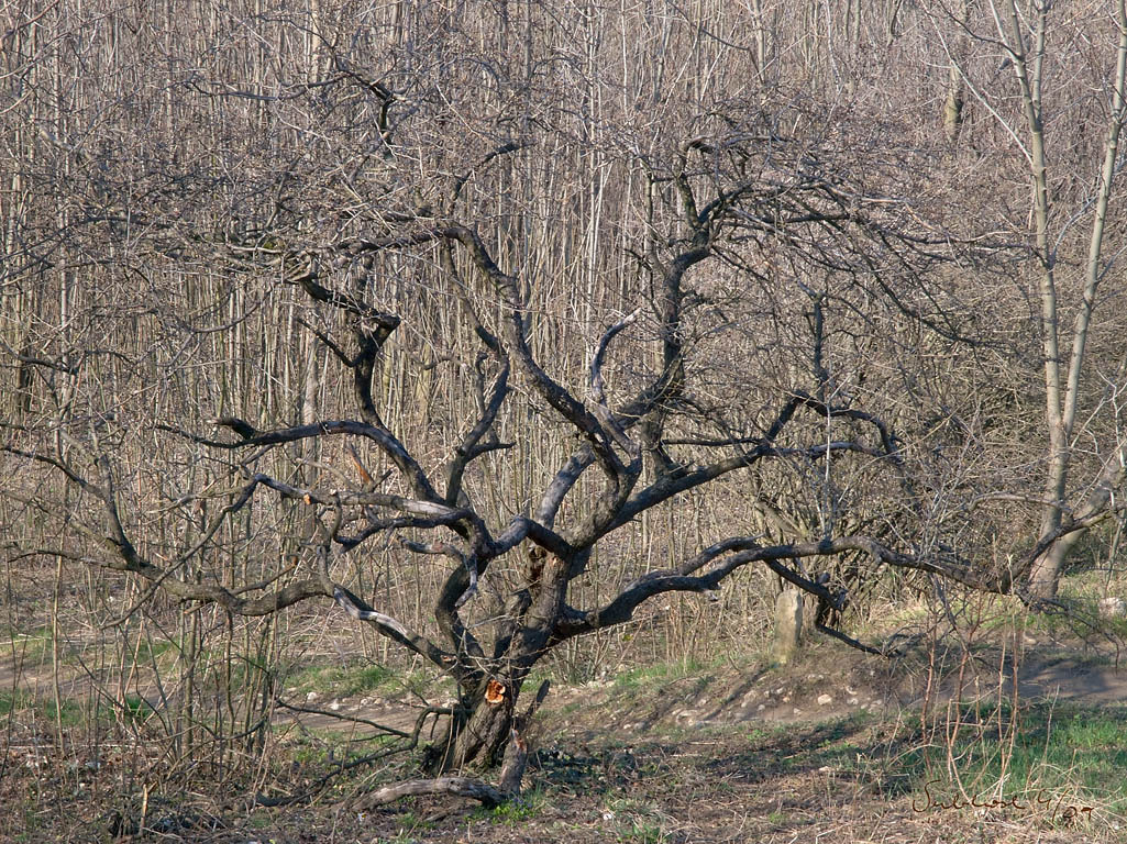 0914_kreuz_und_quer.jpg