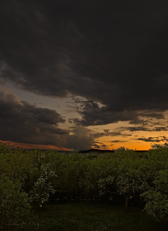 Das Bild der Kalenderwoche 09/16: „Hinter’m Zaun”