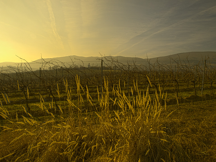 Die Sonne wärmt (Thermenregion)