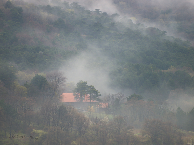 Morgennebel am Fuß des Anninger