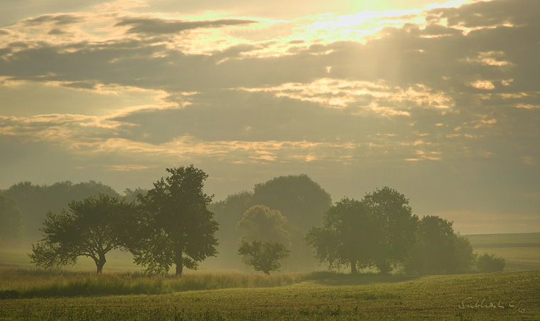 Sonnenaufgang bei Pernegg (Waldviertel)