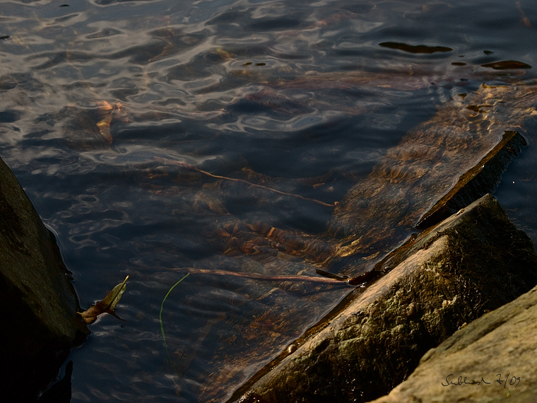 An der Thaya bei Hardegg