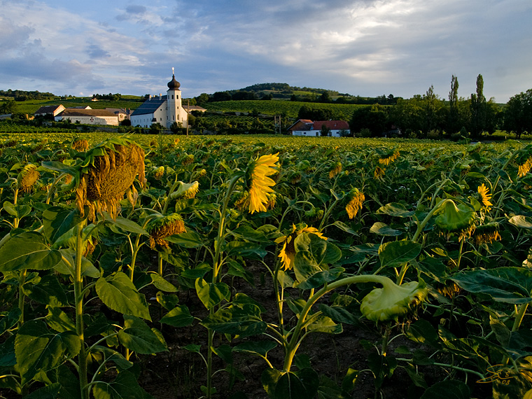 Thallern mit Eichkogel