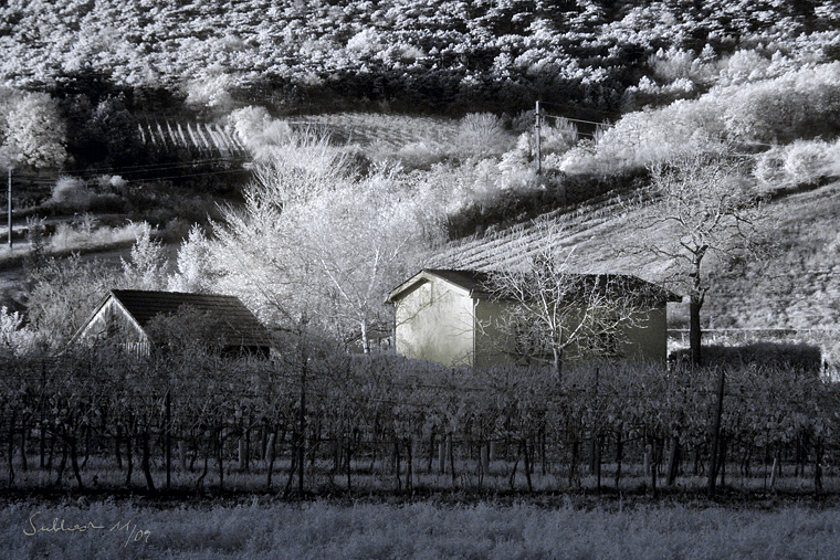 Das Gelbe Haus (Pfaffstätten)