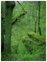 Subhash: „Spiel der Wirklichkeit #426_2704“