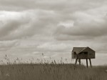 Subhash: “Bird watching hut”