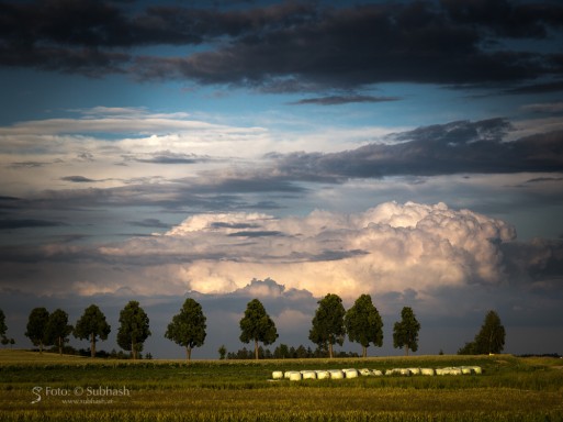 Subhash: „Evening, clouds #7122”