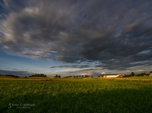 Subhash: „Evening, clouds #7124”