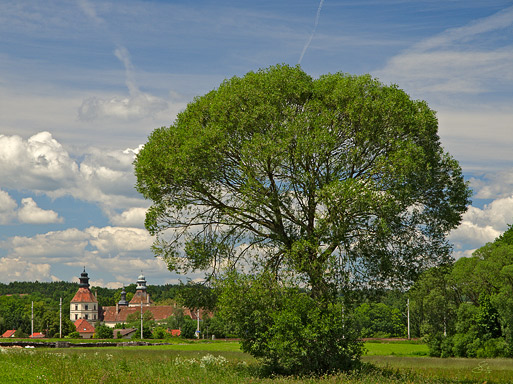 Subhash: „Landschaft mit Schloss Schwarzenau”