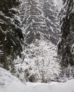 Subhash: „Beschützt #4569”