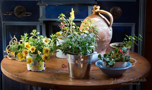 Subhash: “Flower table #8034”