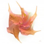 Subhash: „Datura #8586”