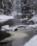 Subhash: „Kamptal #4567”