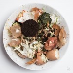 Subhash: „Kompost #2213”