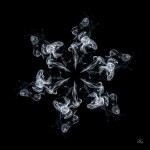 Subhash: „Kunstblume #1938”