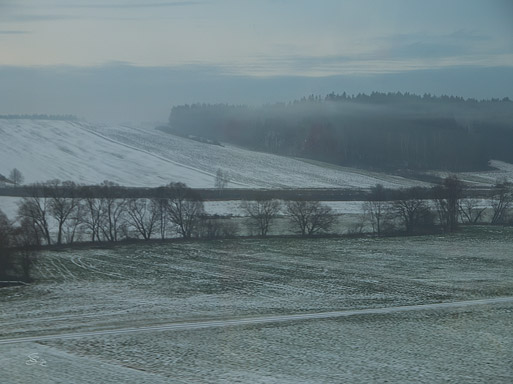 Subhash: «Niebla vespertina»