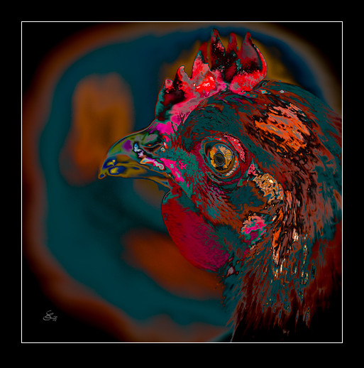 Subhash: „Psychochicken #5666”