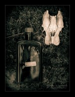 Subhash: „Riecht wie Alkohol #9301”