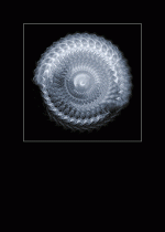 Subhash: «Sahumerio #2014»