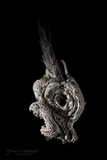 Subhash: „Schnecke #8153”