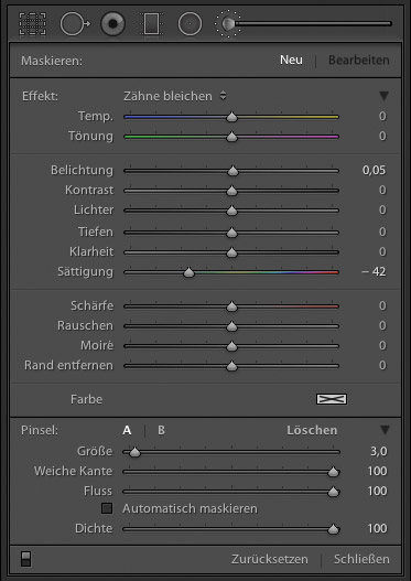 Korrekturpinsel in Lightroom