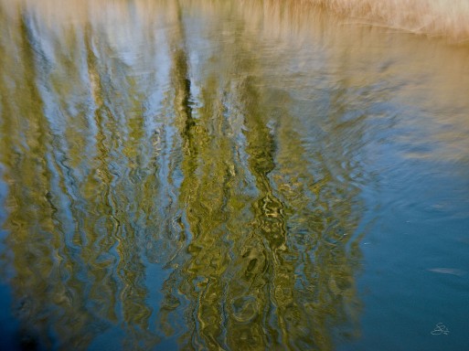 „Sensibles Chaos” (Optik Sweet 35 mm, Blende 2.8)