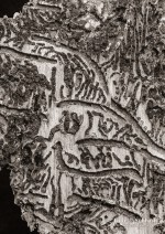 Subhash: „Typografie #4538”