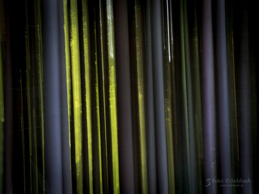 Subhash: „Wald abstrakt #8103”