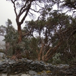 Im Nationalpark Sierra Nevada