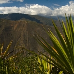 Jeepfahrt nach Mérida