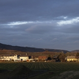 Abend in Pfaffstätten