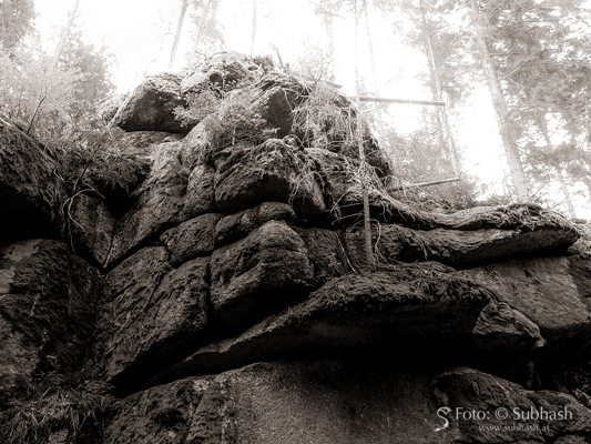 Felsgruppe im Kamptal