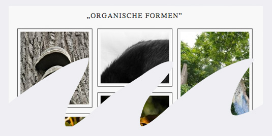 Ergebnisse der vierzehnten Aufgabe („See the bigger picture”)