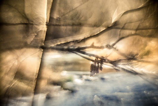 Subhash: „#1384”